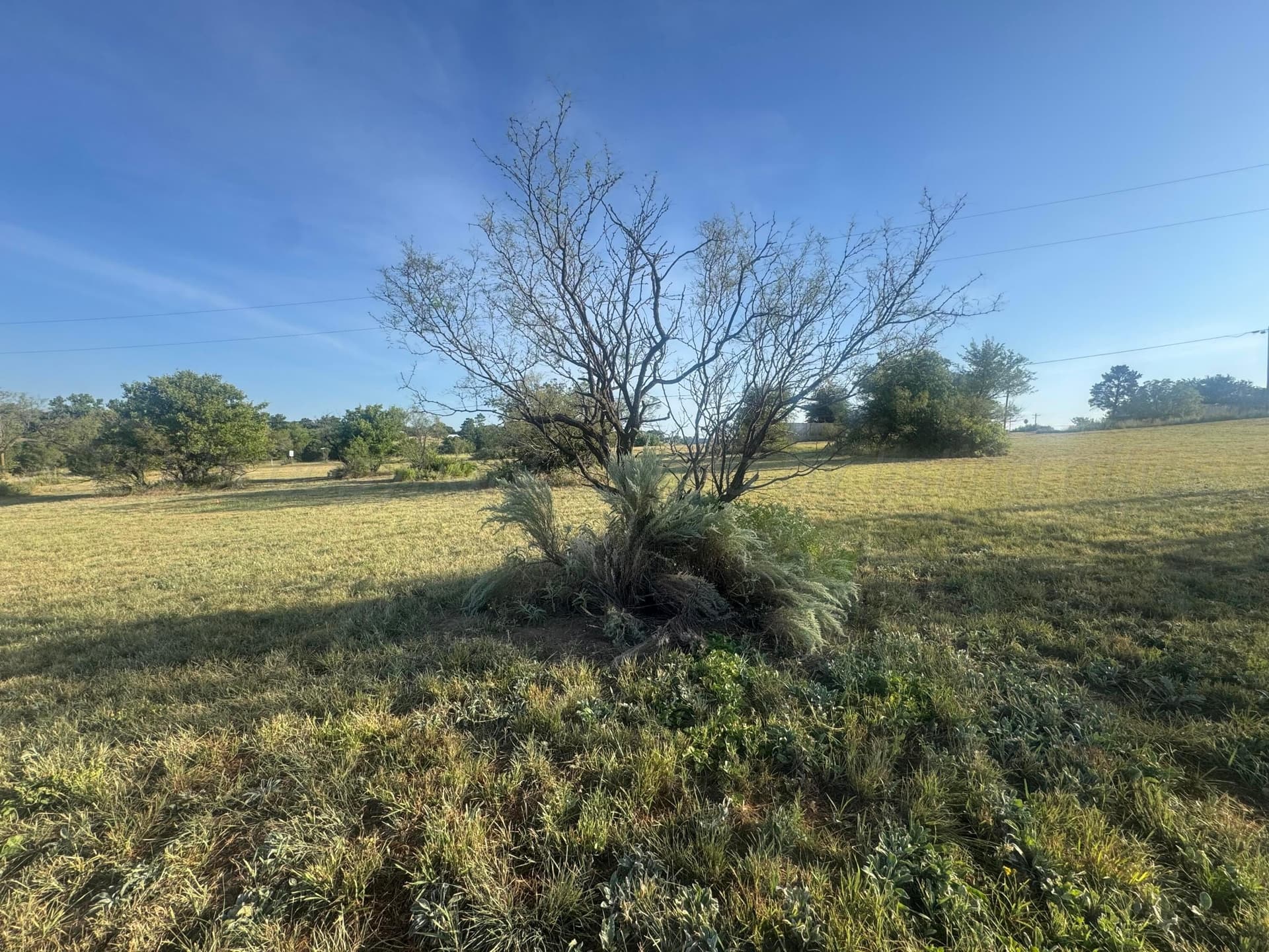 0 acres in Donley County - photo 3