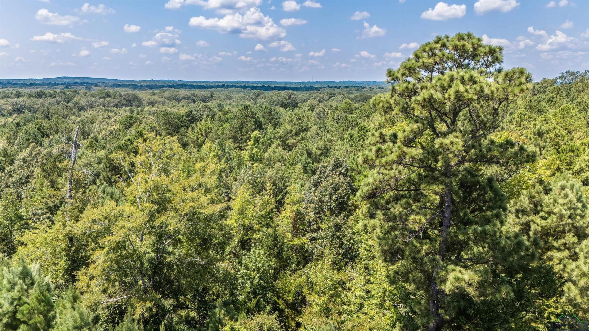 10 acres in Marion County - photo 9