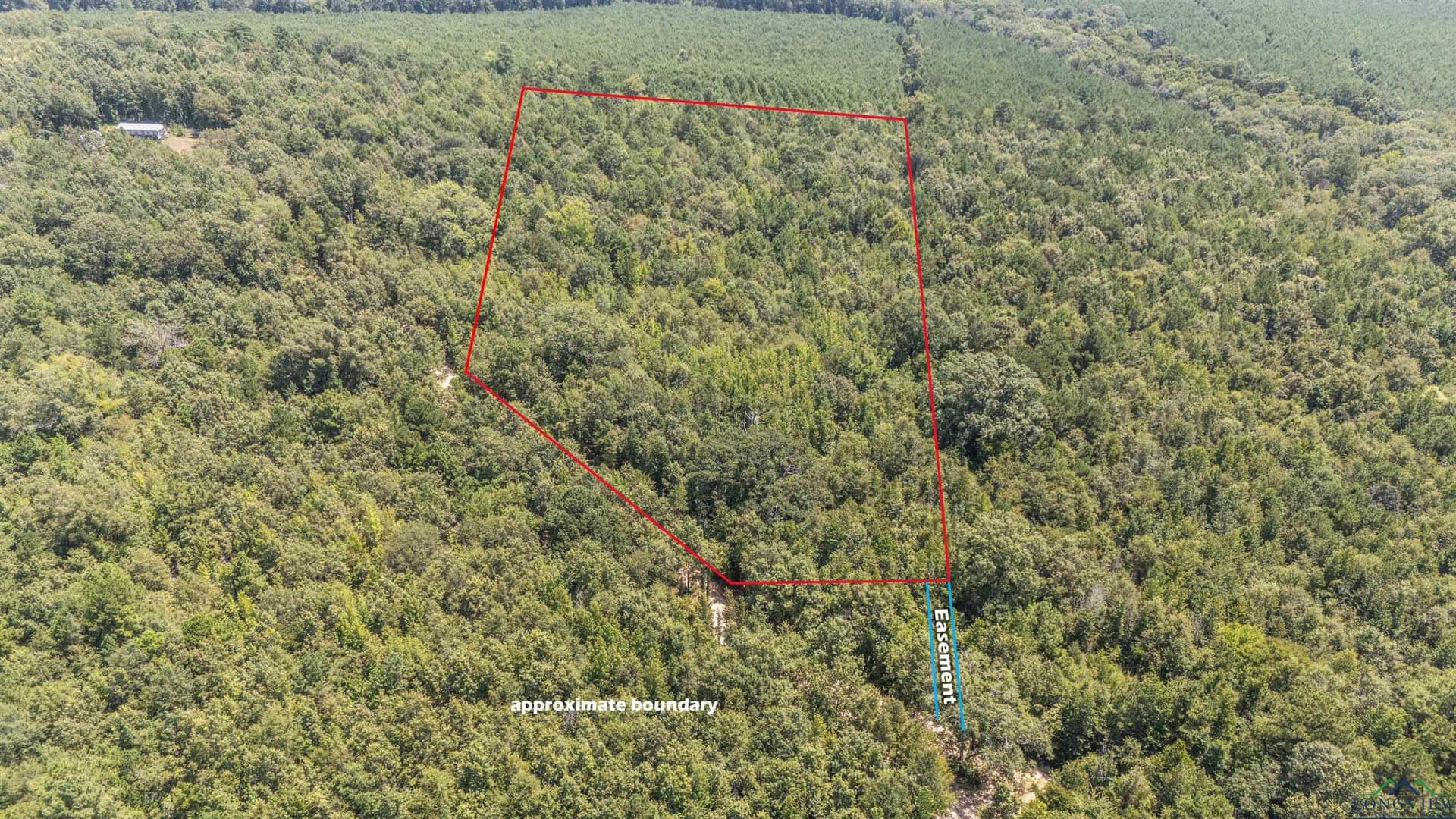 10 acres in Marion County - photo 14