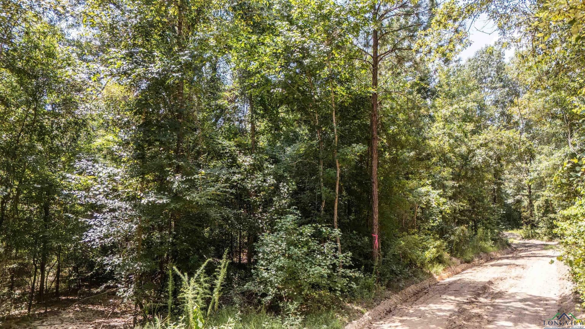 10 acres in Marion County - photo 13