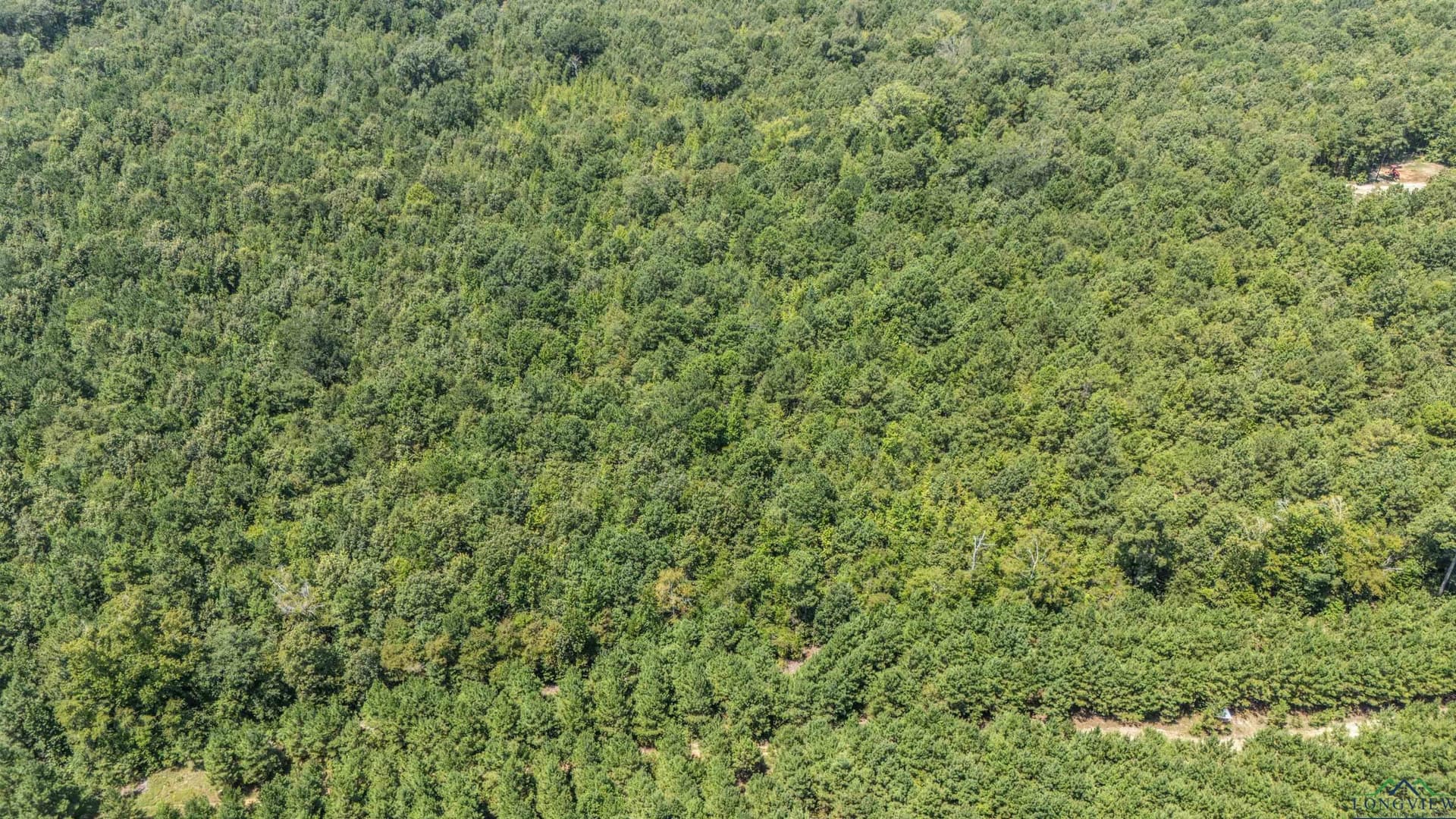 10 acres in Marion County - photo 17