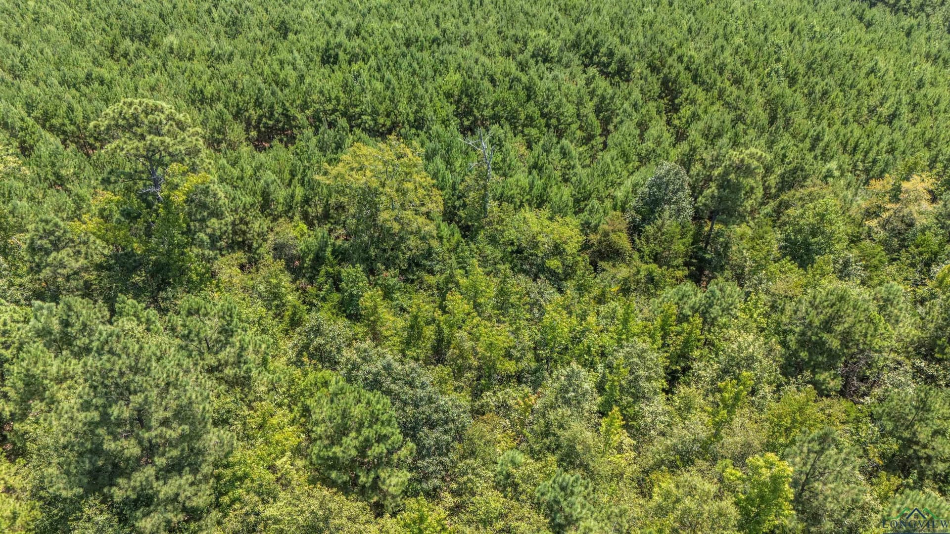 10 acres in Marion County - photo 11