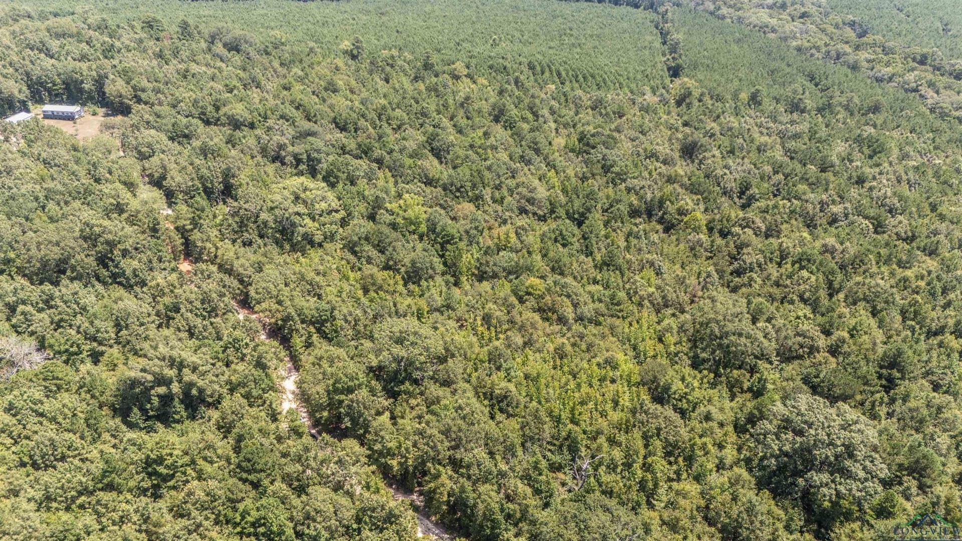10 acres in Marion County - photo 16