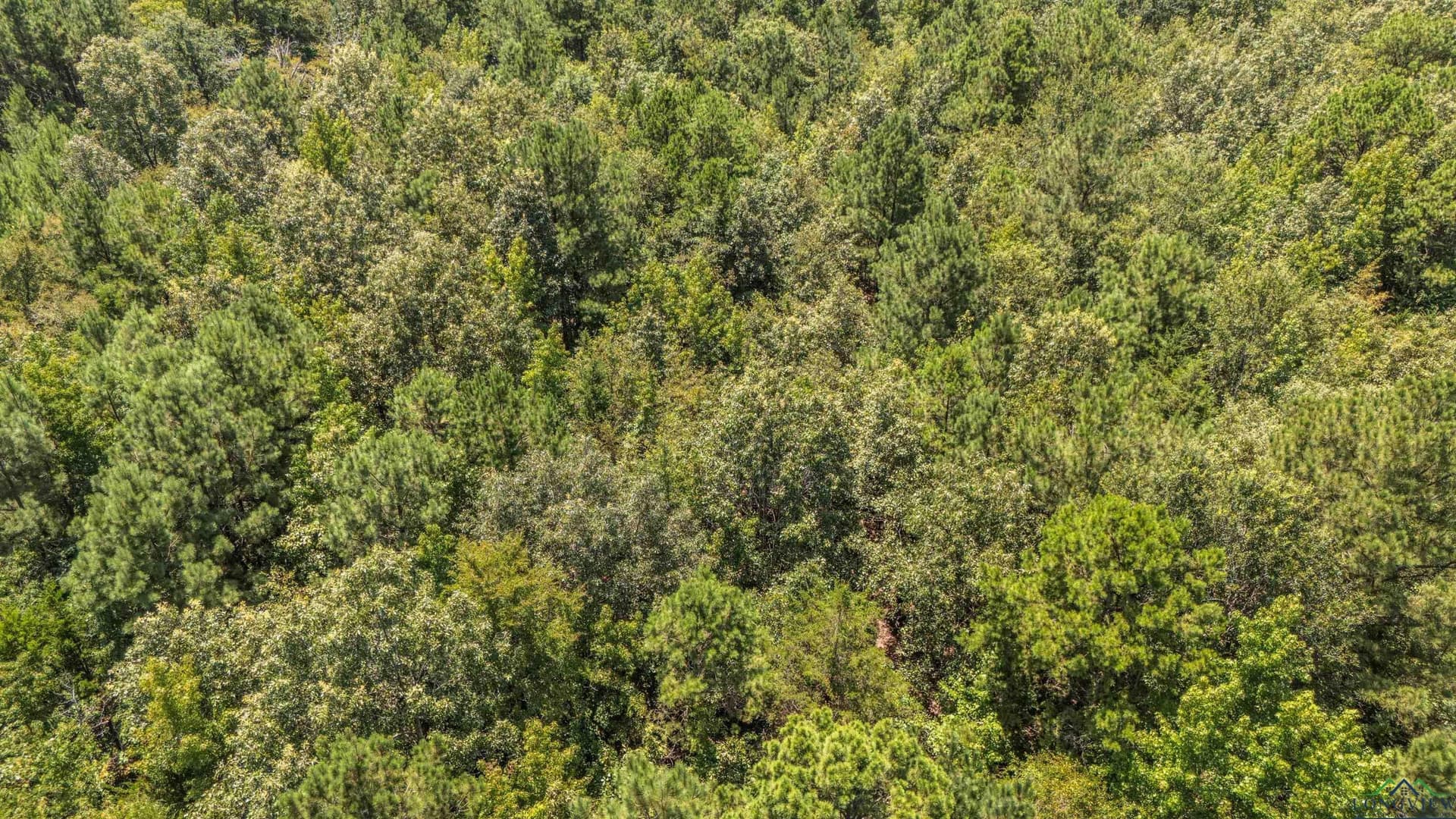 10 acres in Marion County - photo 10