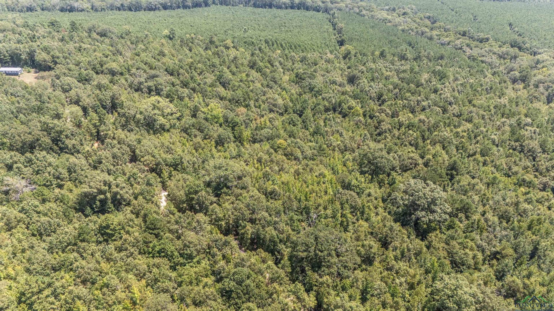 10 acres in Marion County - photo 15