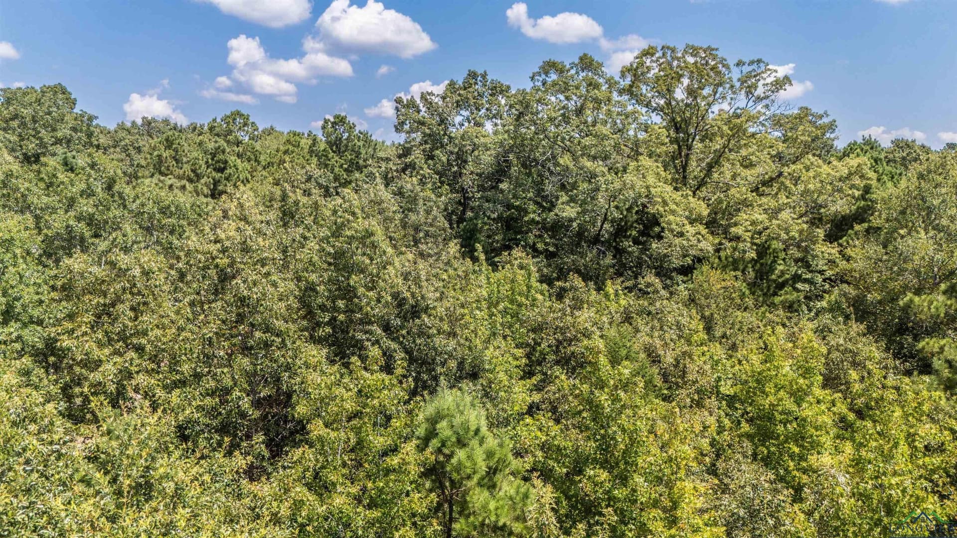 10 acres in Marion County - photo 5