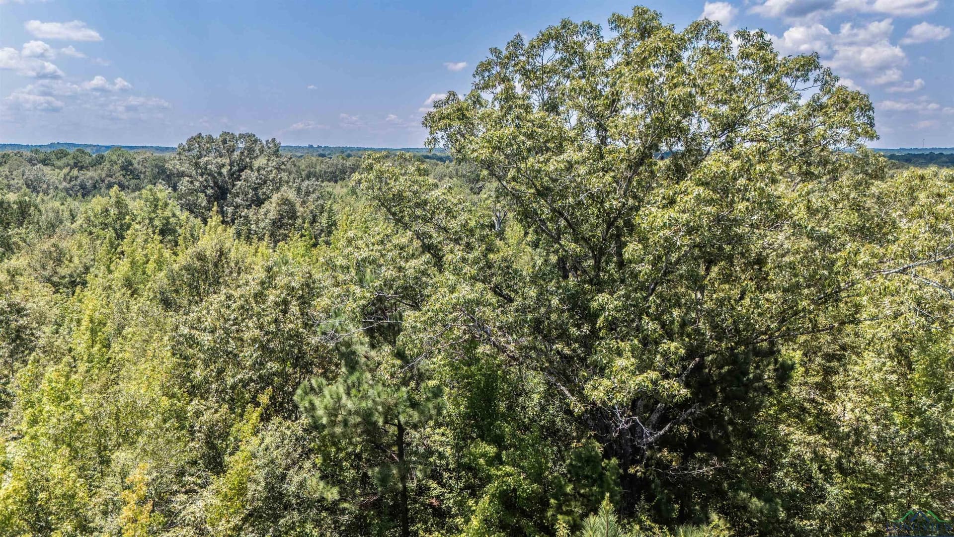 10 acres in Marion County - photo 6