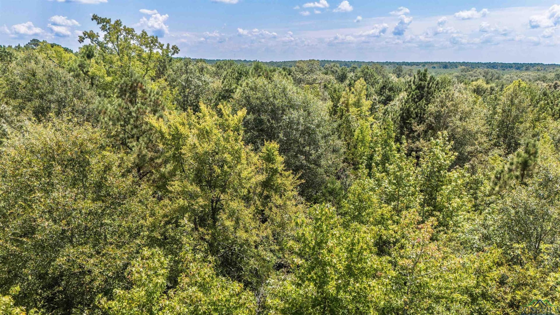 10 acres in Marion County - photo 8