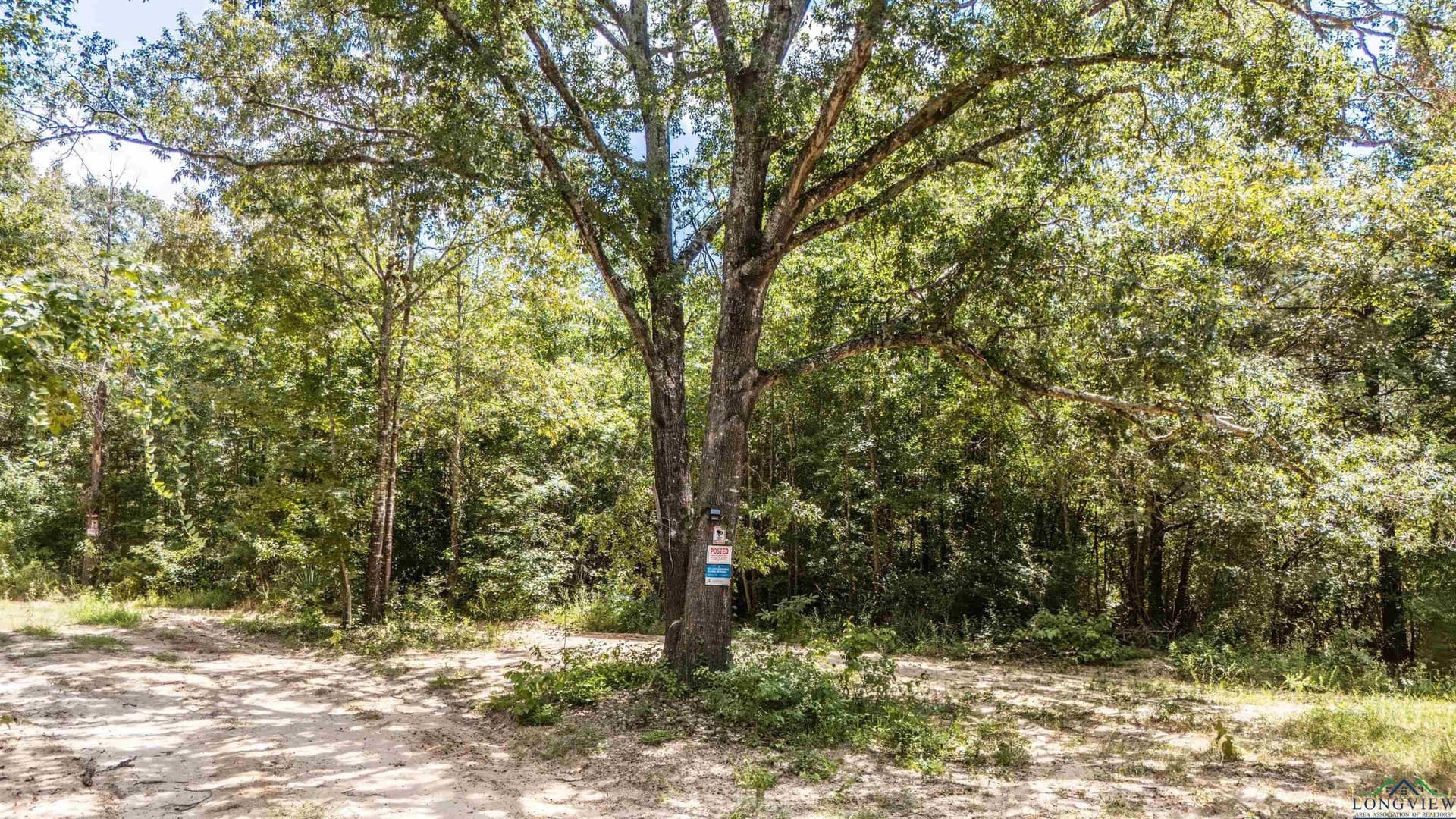 10 acres in Marion County - photo 3