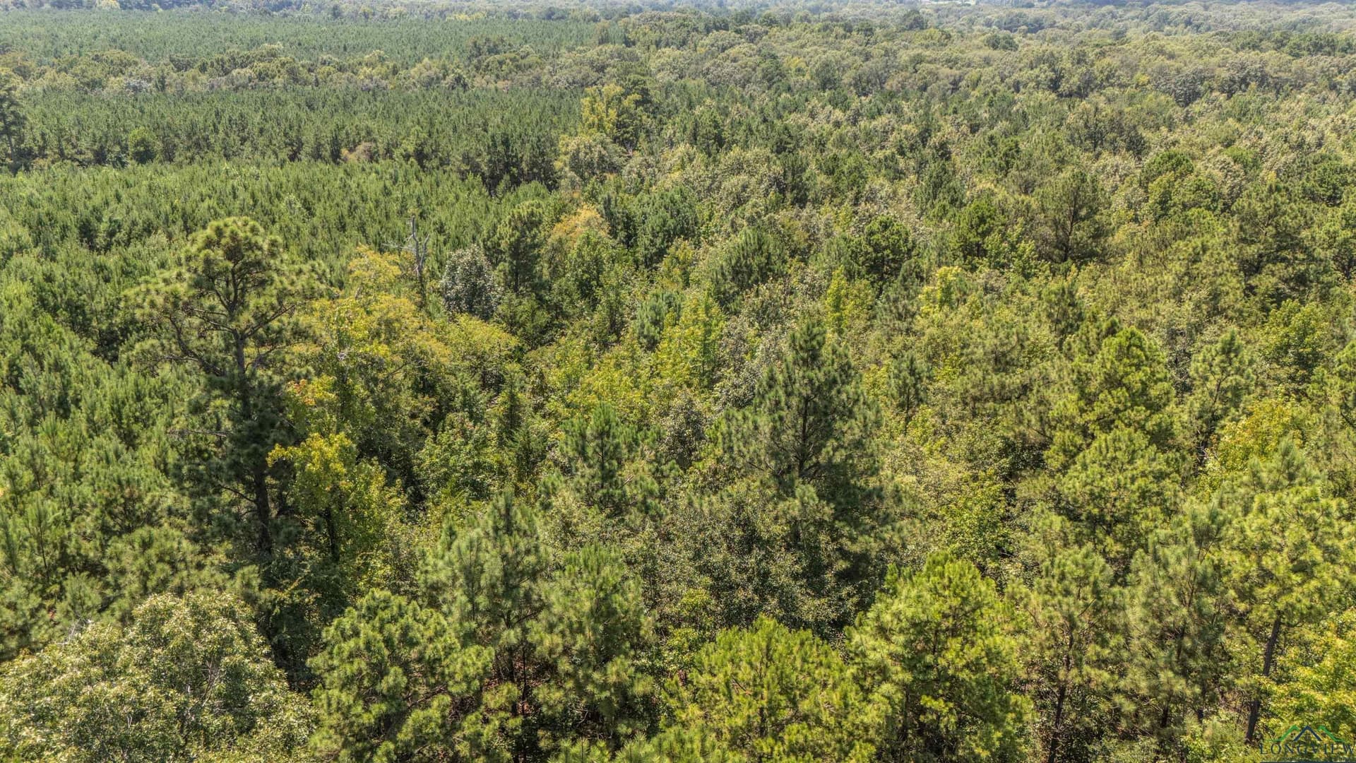 10 acres in Marion County - photo 18