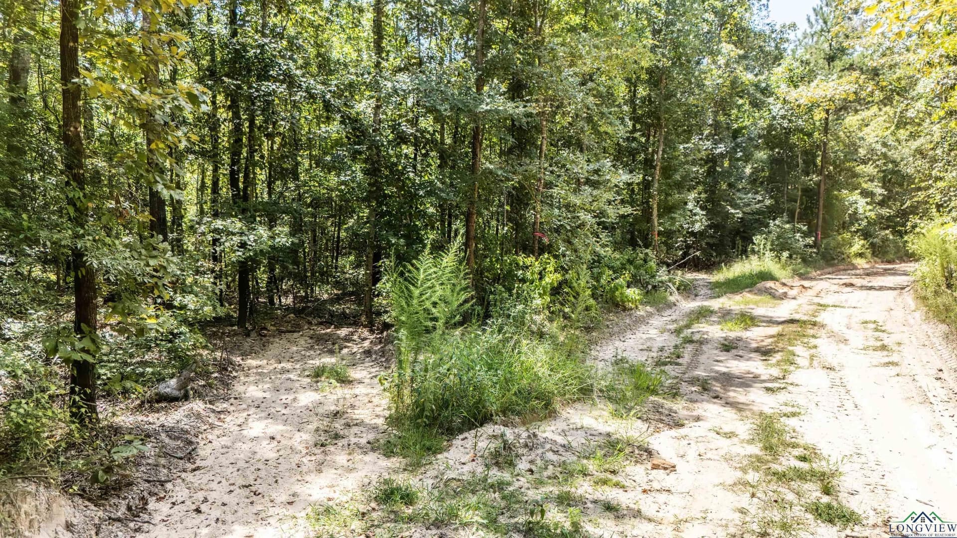 10 acres in Marion County - photo 4
