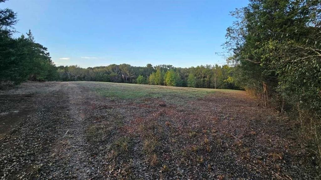 32.03 acres in Rusk County - photo 19