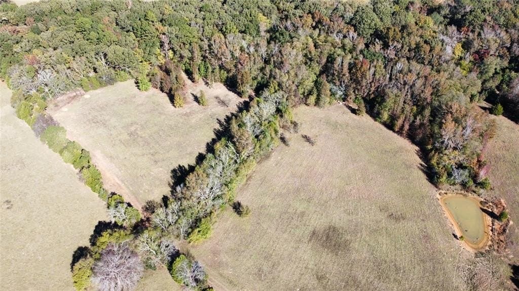 32.03 acres in Rusk County - photo 4