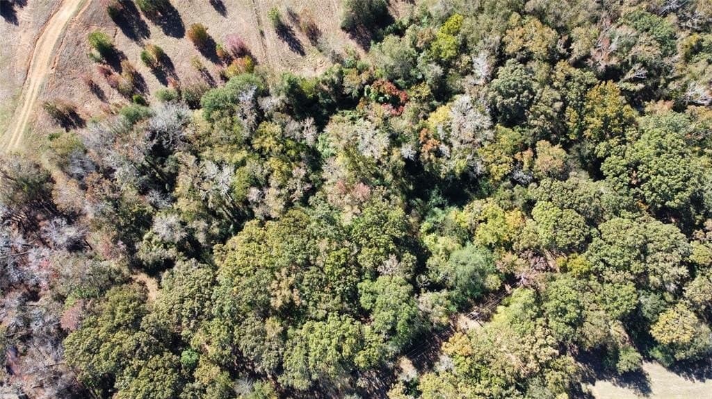 32.03 acres in Rusk County - photo 8