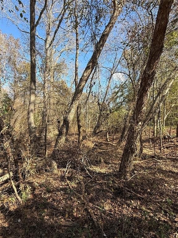 32.03 acres in Rusk County - photo 24