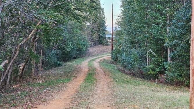 32.03 acres in Rusk County - photo 21