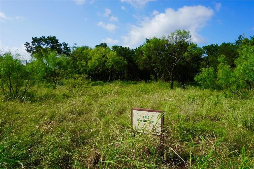 1.07 acres in Palo Pinto County - photo 5
