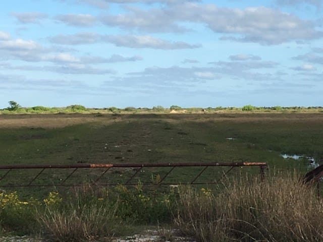 36.99 acres in Texas County - photo 3