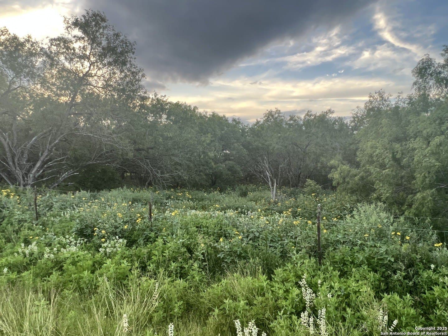 3.25 acres in Bexar County - photo 3