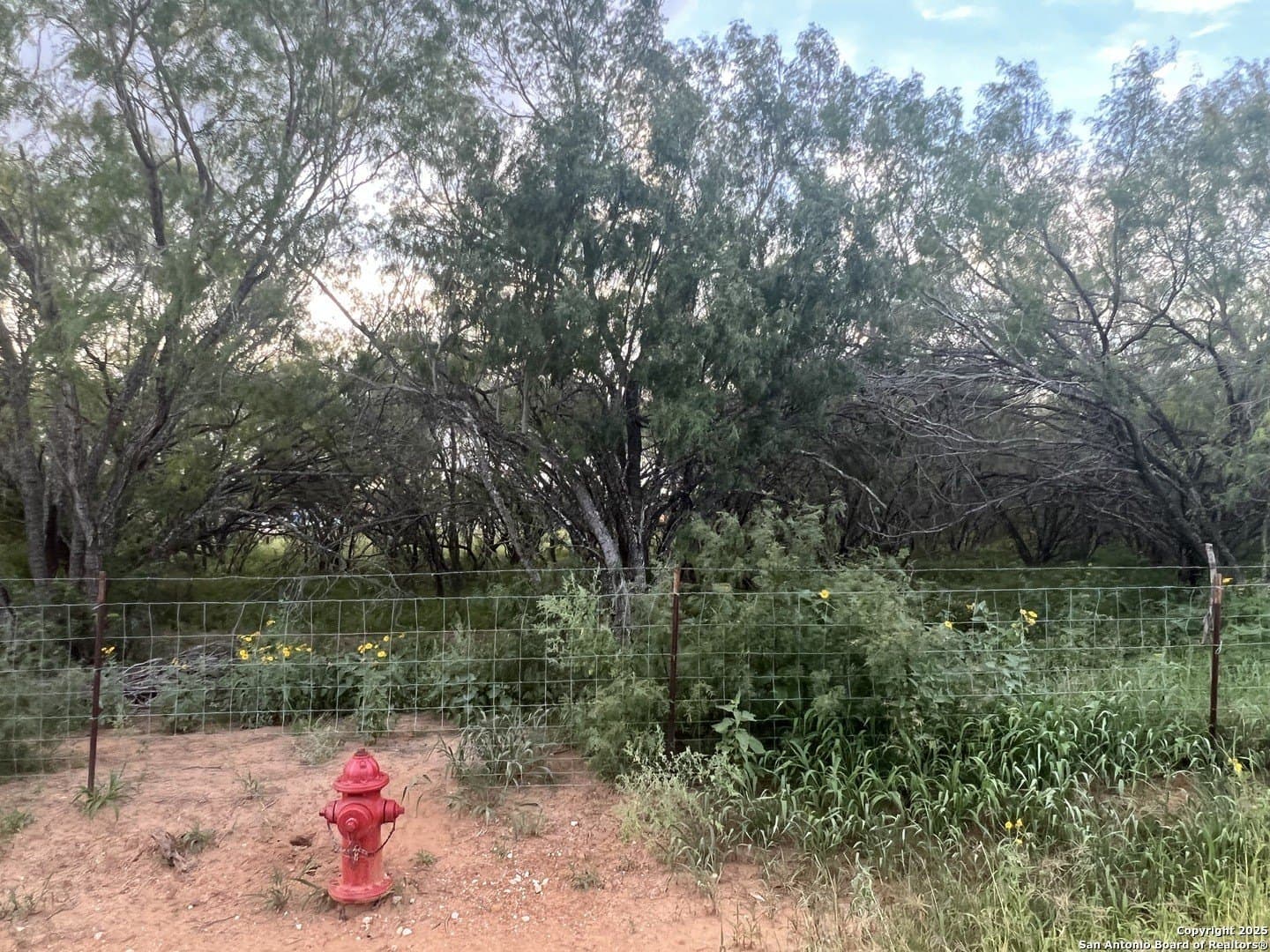 3.25 acres in Bexar County - photo 2