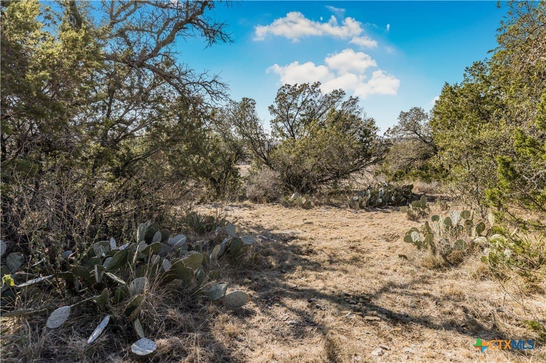 1.53 acres in Burnet County - photo 5