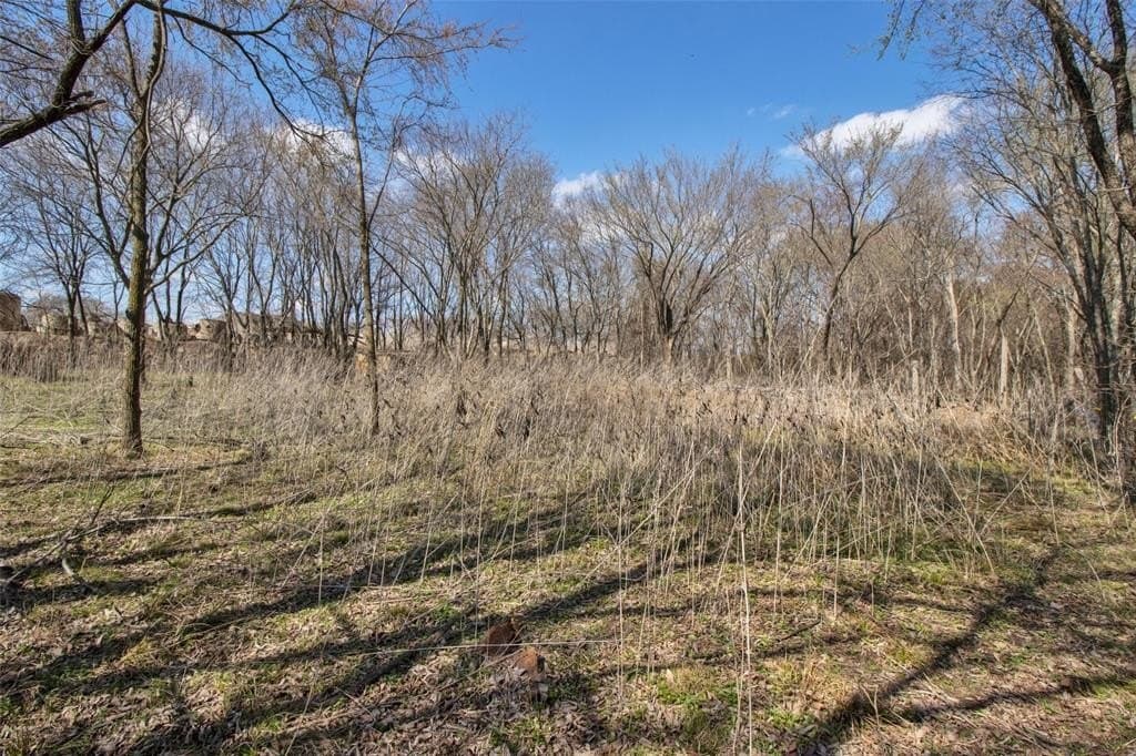 1 acres in Grayson County - photo 6