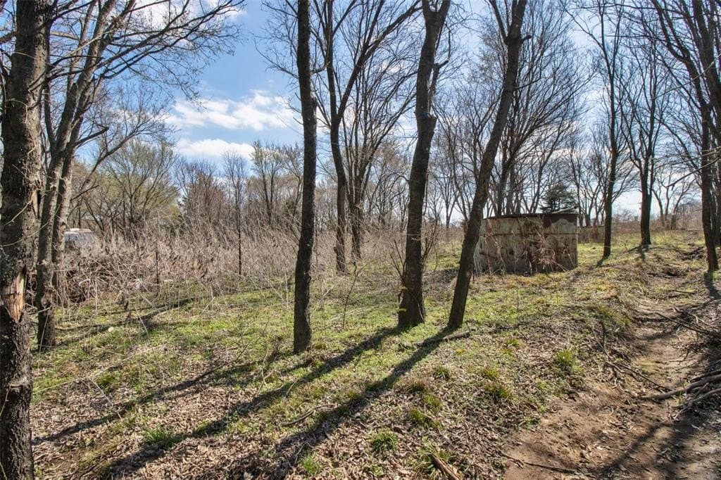 1 acres in Grayson County - photo 8