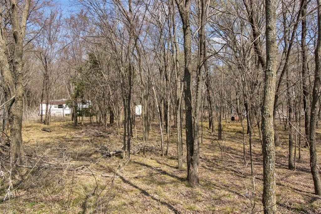 1 acres in Grayson County - photo 4