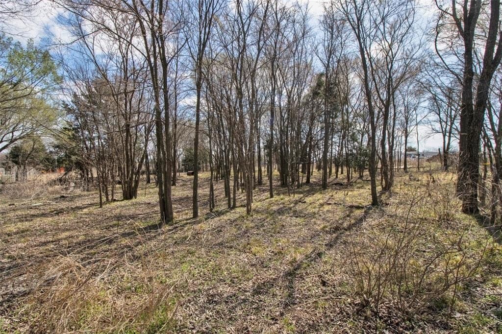 1 acres in Grayson County - photo 10