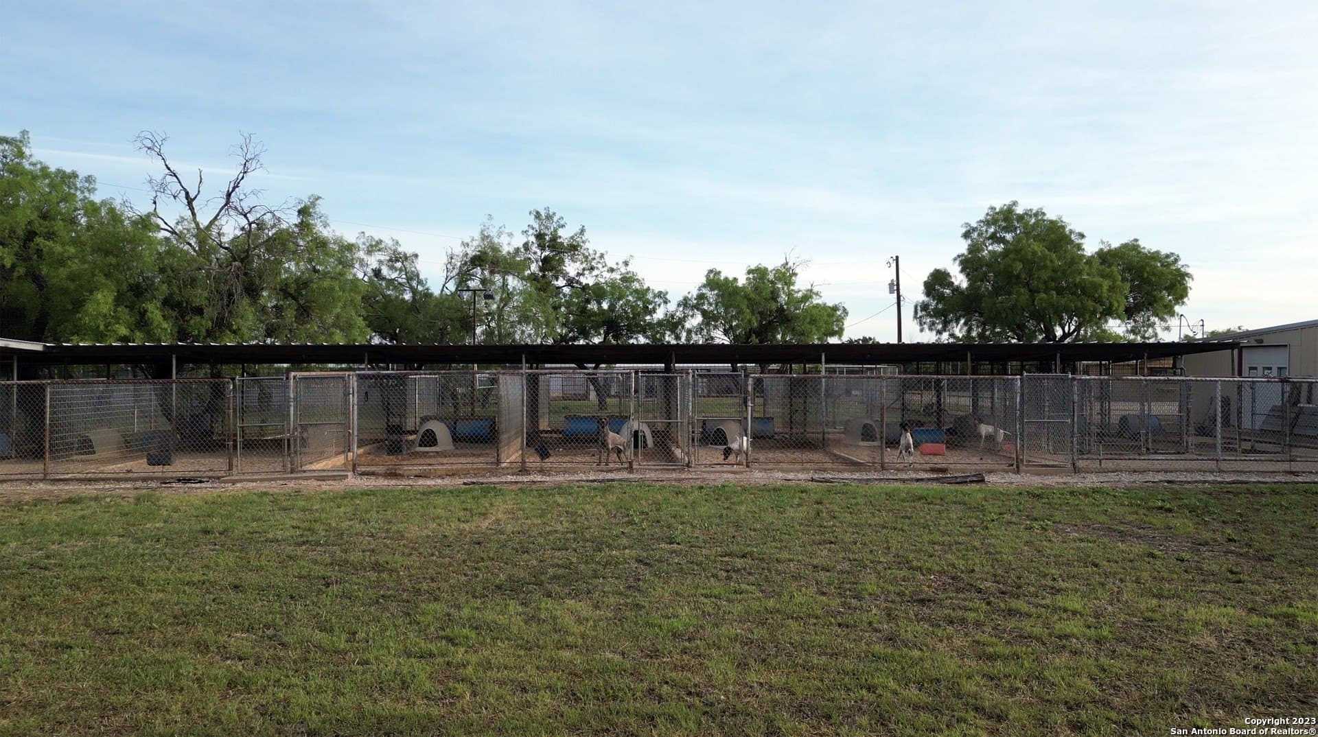 0 acres in Coleman County - photo 14