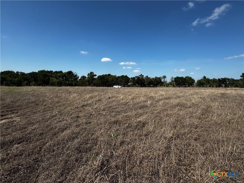 3.01 acres in Milam County - photo 4