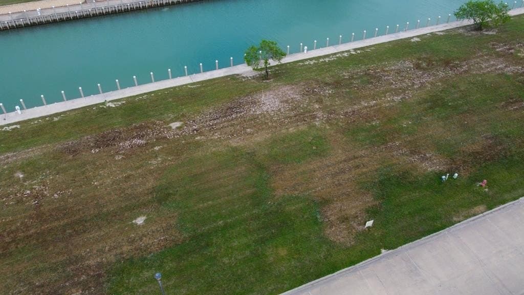 0 acres in Cameron County - photo 13