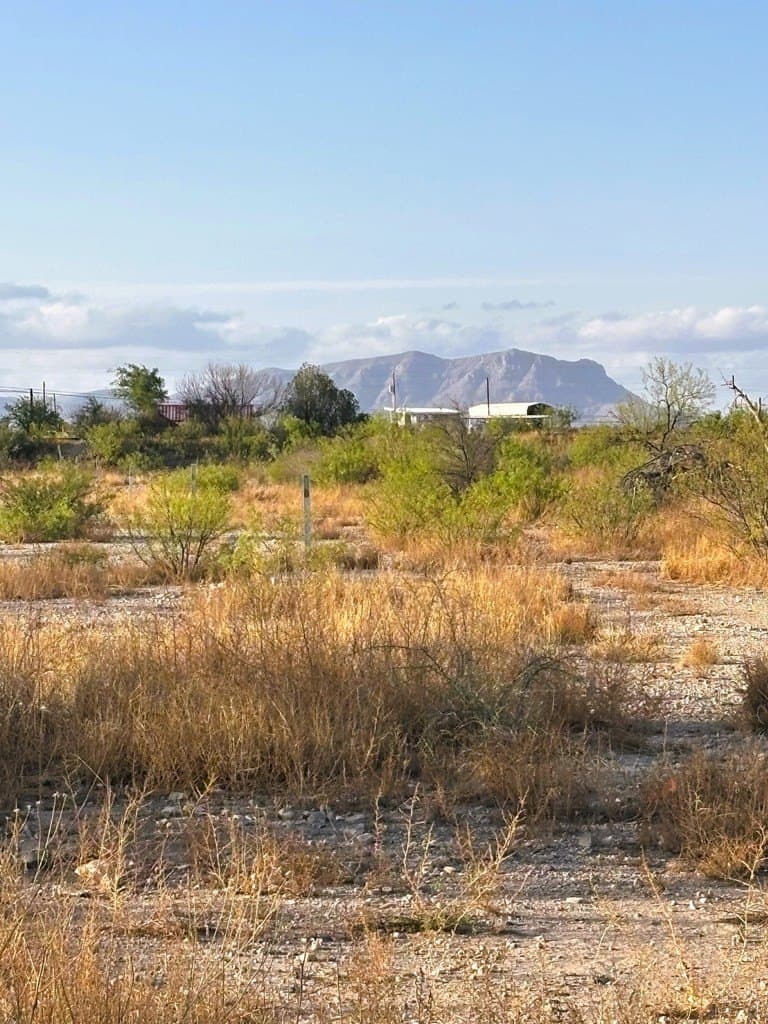 0 acres in Brewster County - photo 12