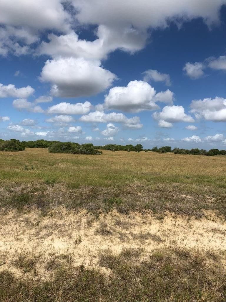 2.44 acres in Texas County - photo 2