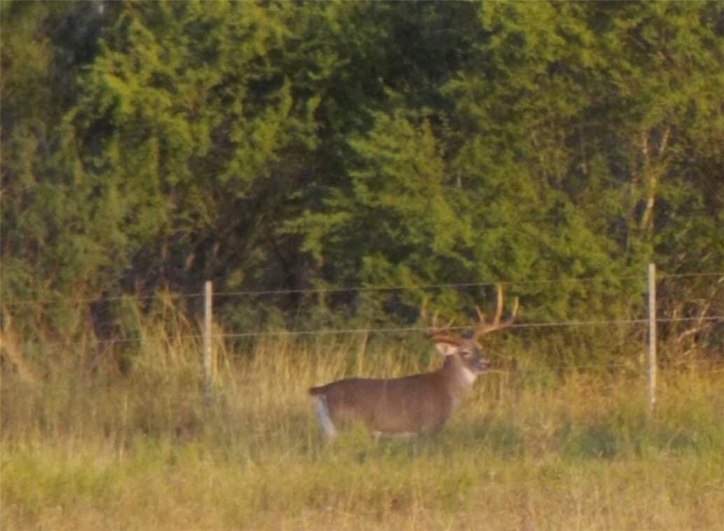 408.58 acres in Jim Wells County - photo 4