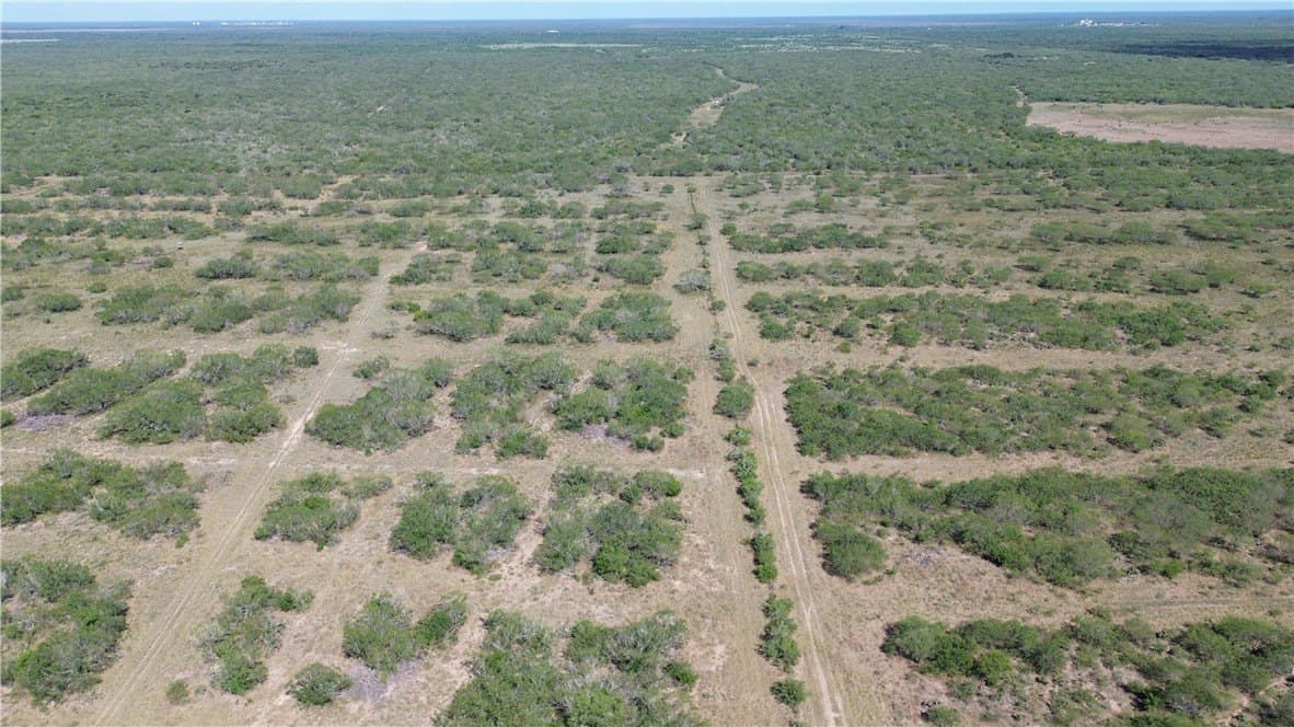 408.58 acres in Jim Wells County - photo 5