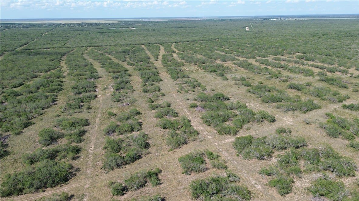 408.58 acres in Jim Wells County - photo 16