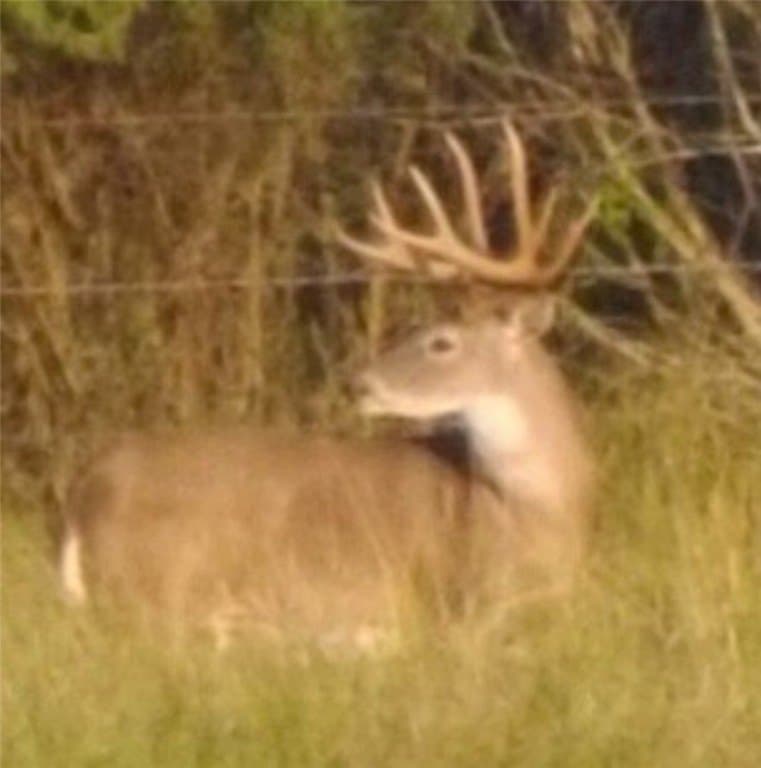 408.58 acres in Jim Wells County - photo 2