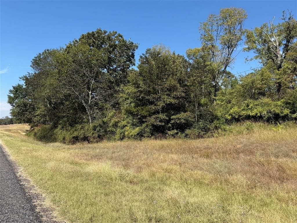 7.37 acres in Wood County - photo 2