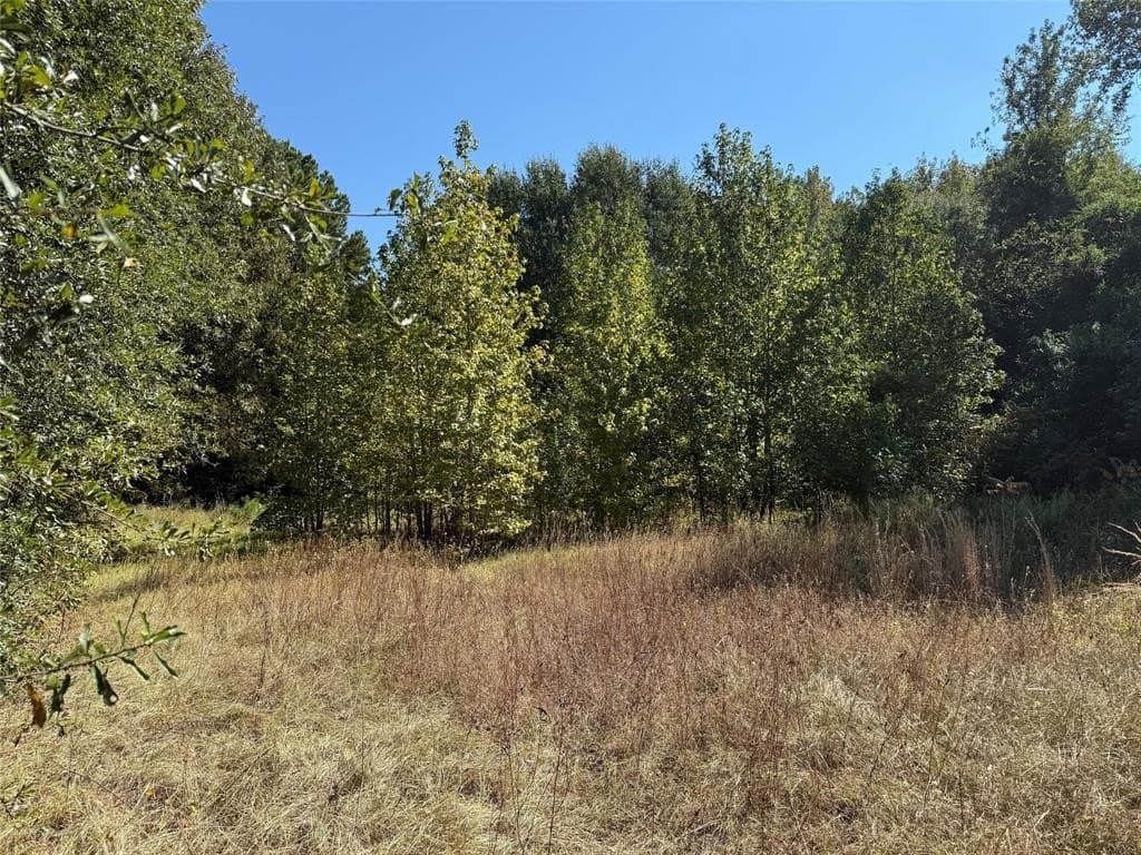 7.37 acres in Wood County - photo 7