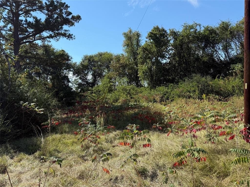7.37 acres in Wood County - photo 9