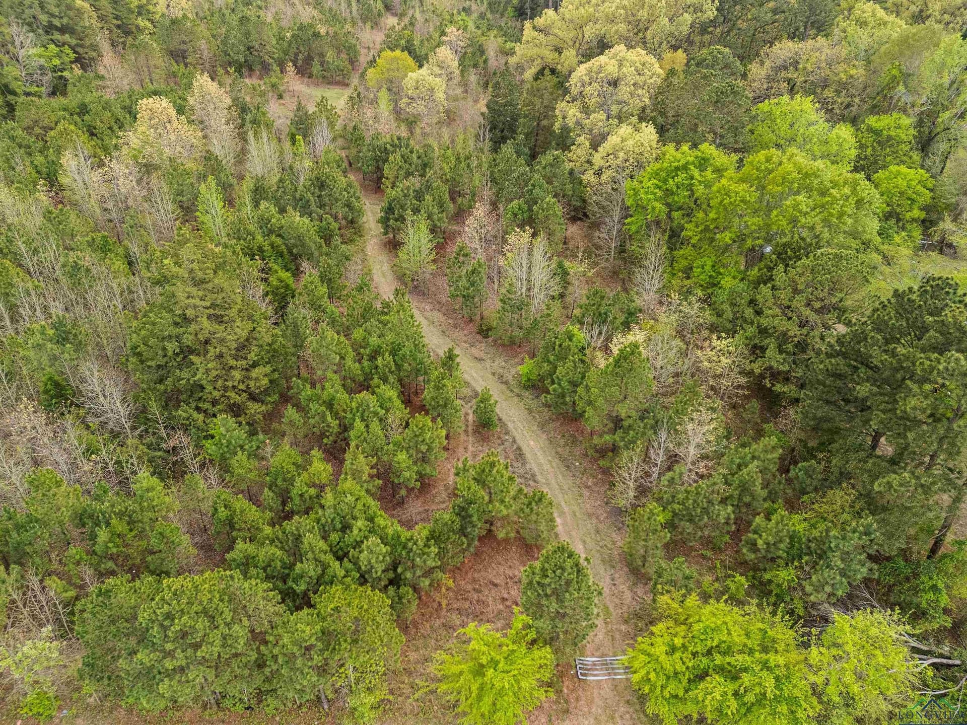 20.29 acres in Gregg County - photo 8
