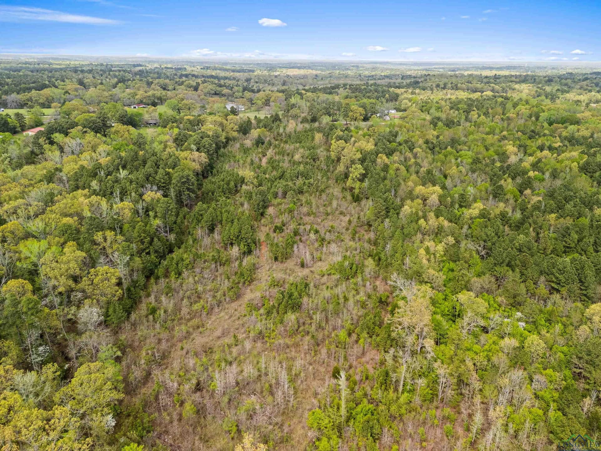 20.29 acres in Gregg County - photo 12
