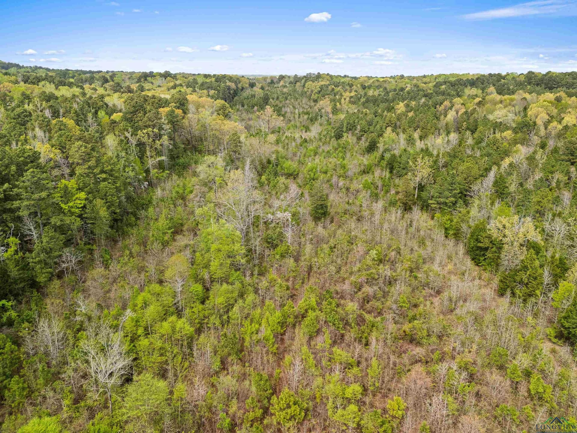 20.29 acres in Gregg County - photo 10