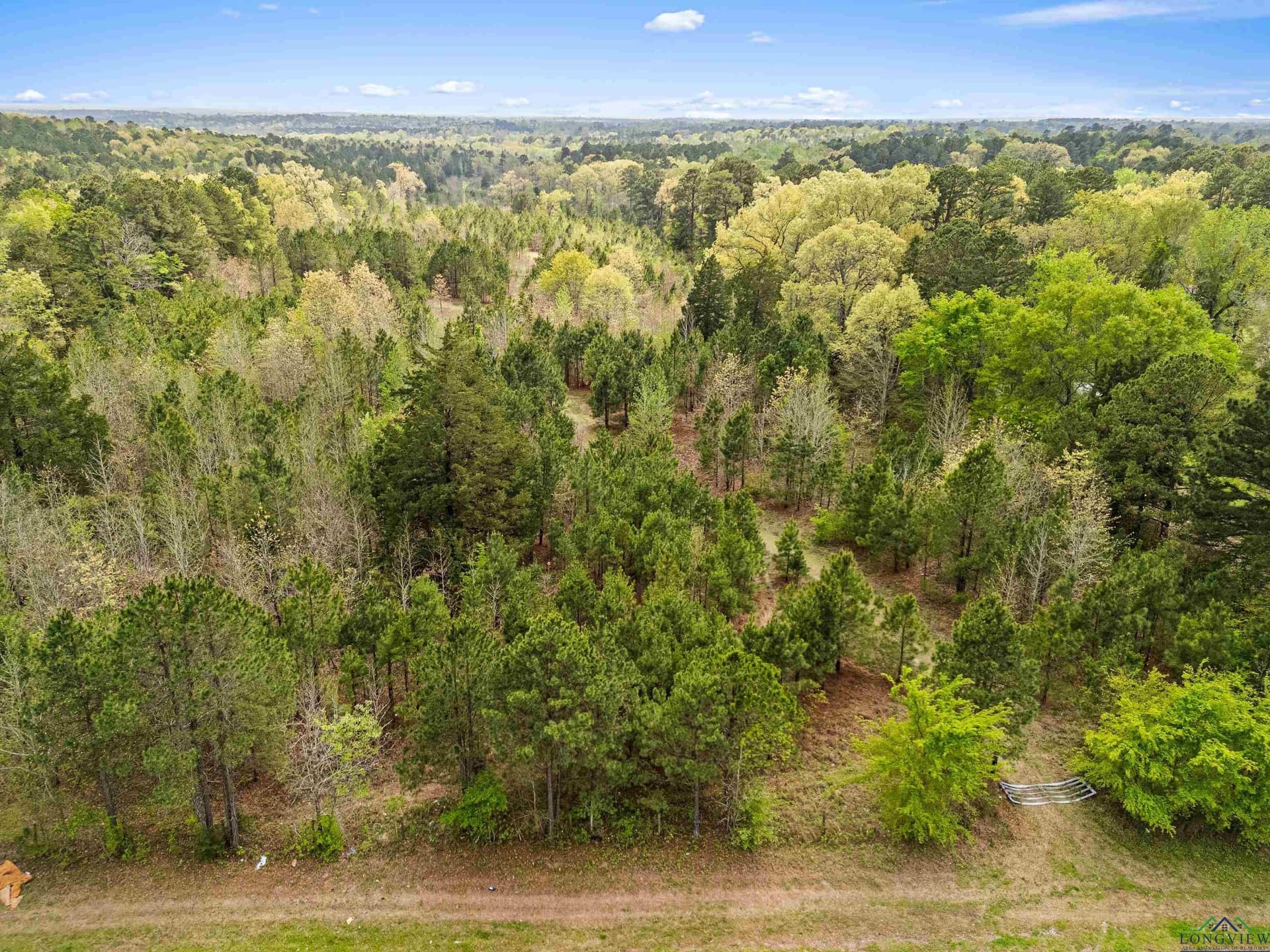 20.29 acres in Gregg County - photo 17
