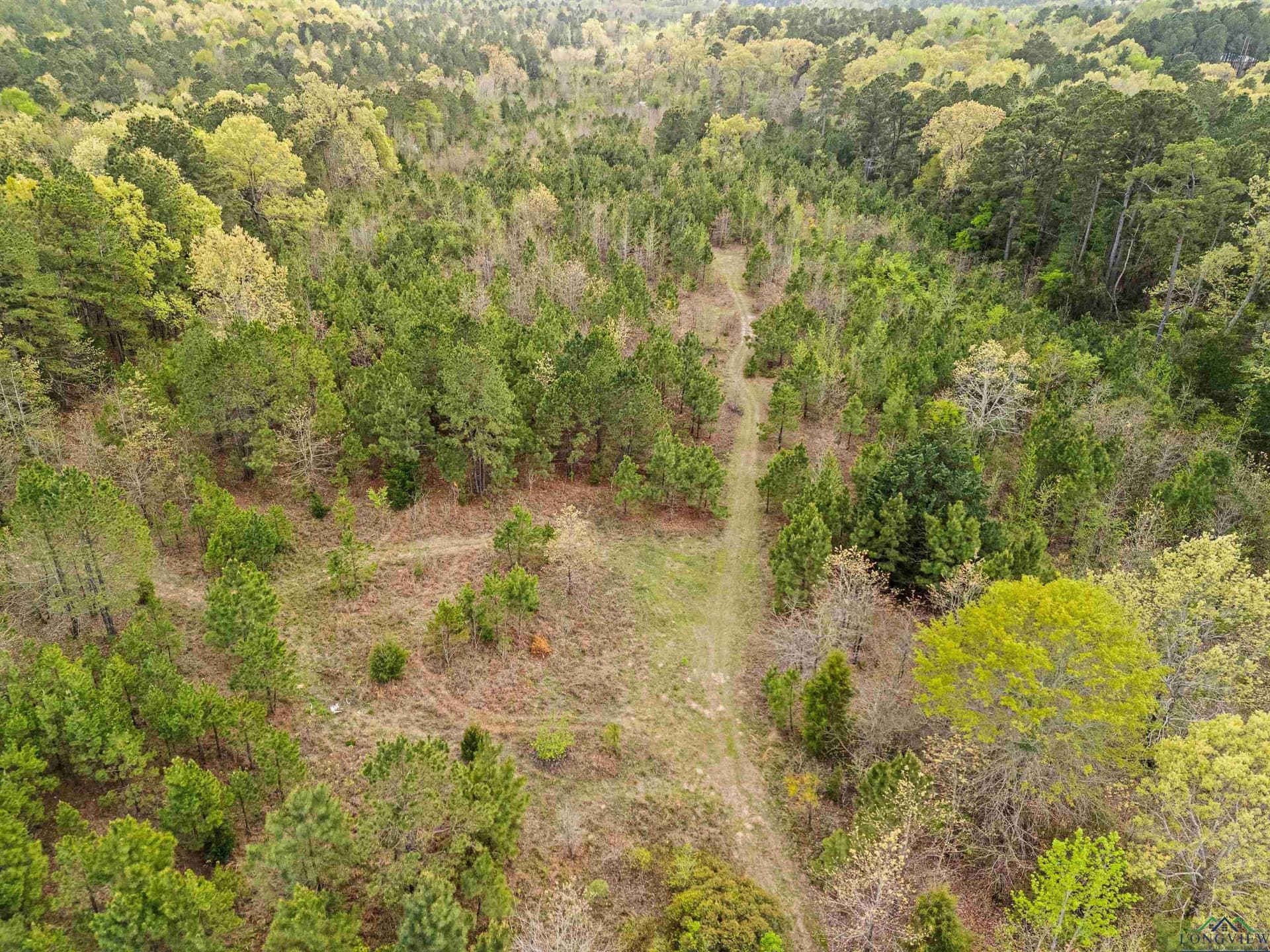 20.29 acres in Gregg County - photo 9