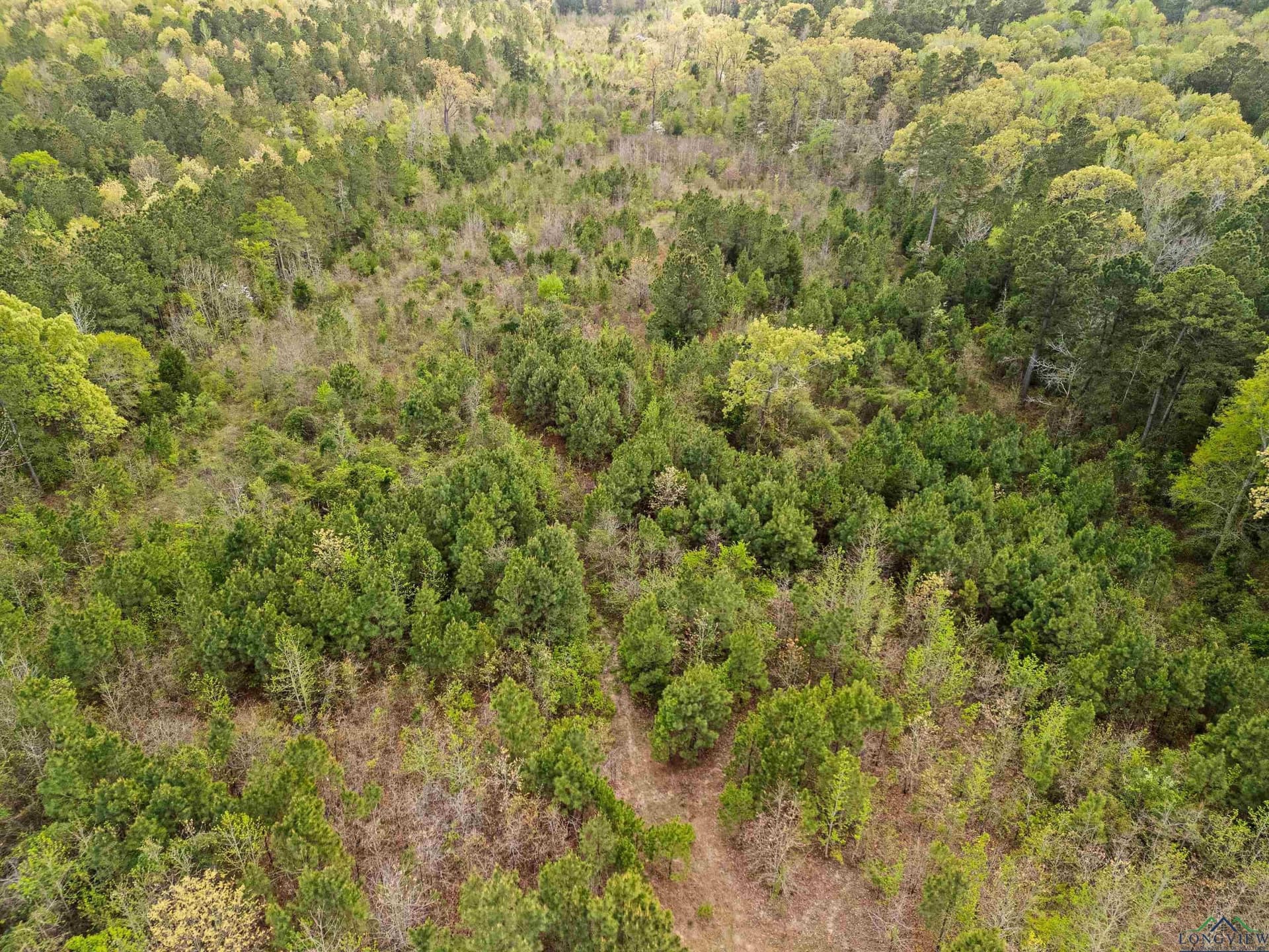 20.29 acres in Gregg County - photo 11