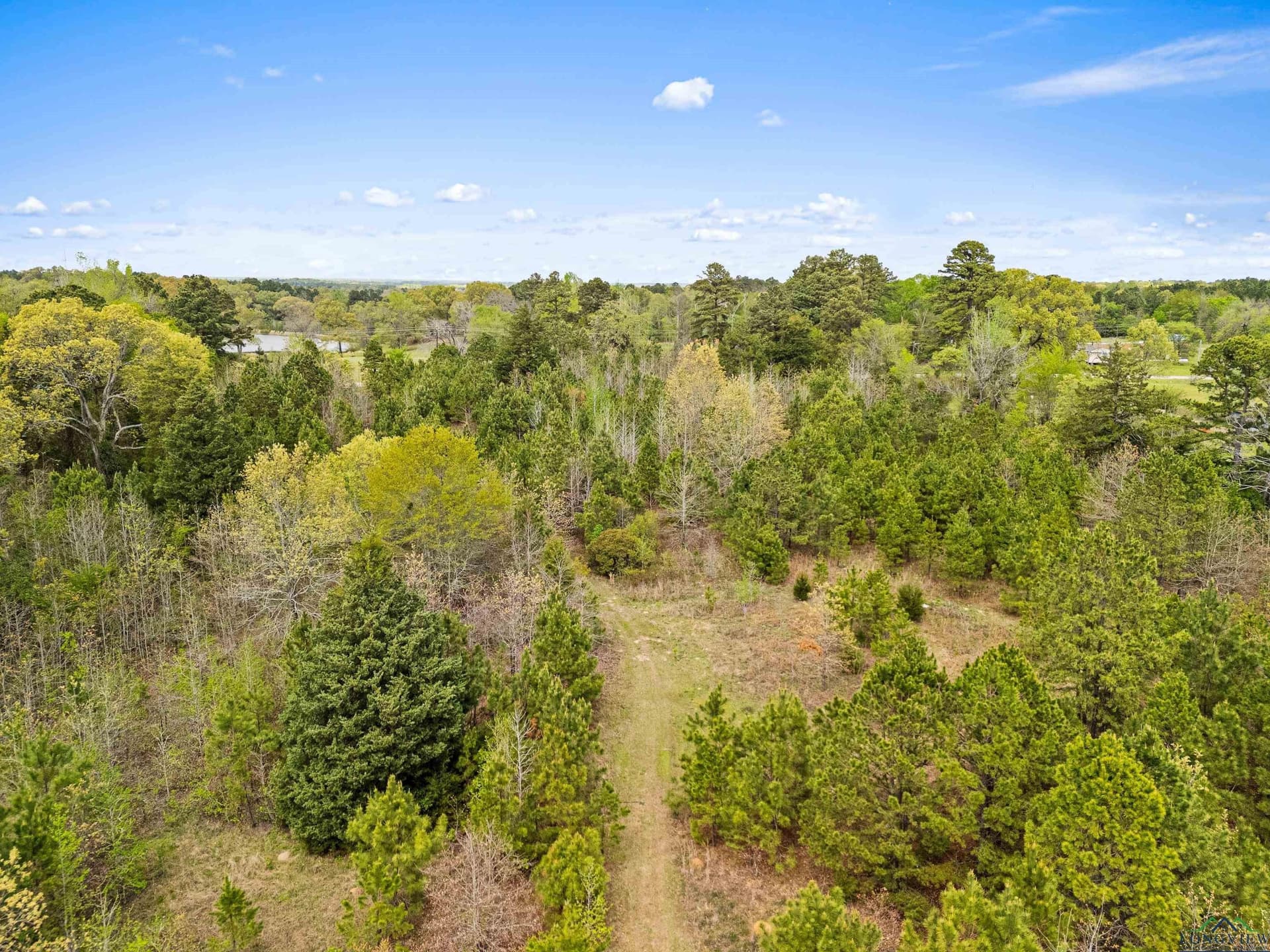 20.29 acres in Gregg County - photo 15