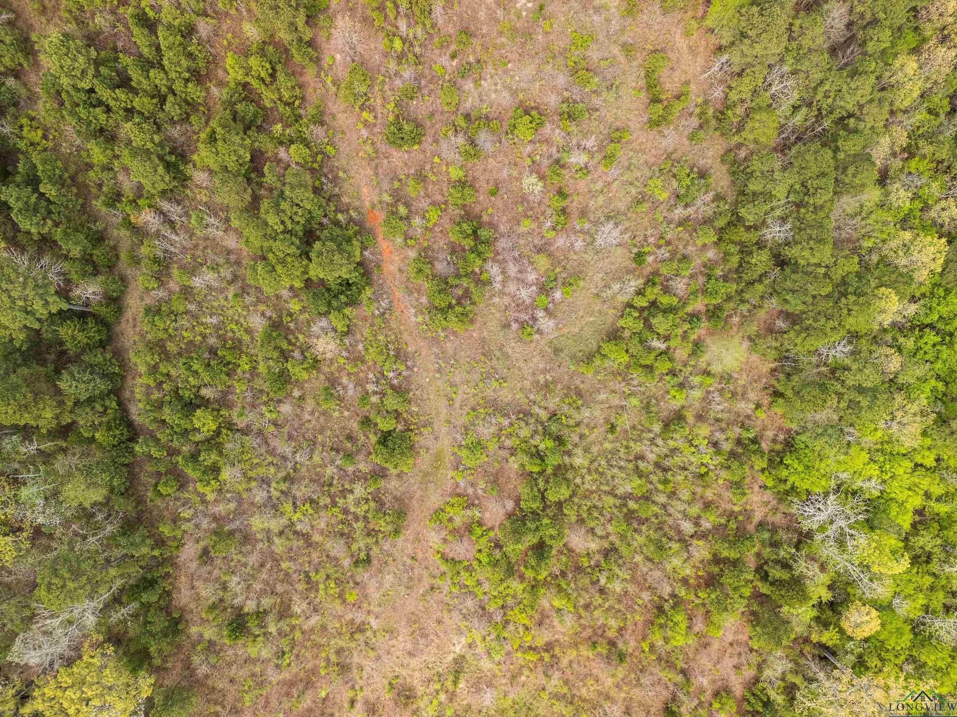 20.29 acres in Gregg County - photo 13