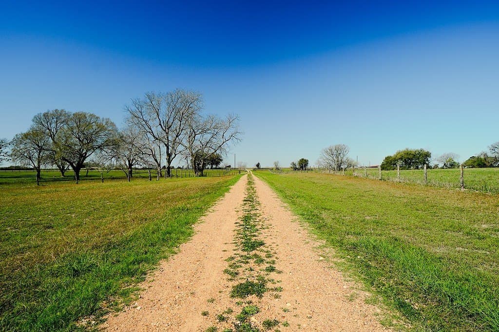 81.44 acres in Lavaca County - photo 12